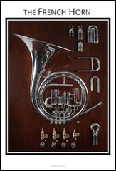 French Horn Anatomy Chart 8x12 Instrument Poster P.O.D.